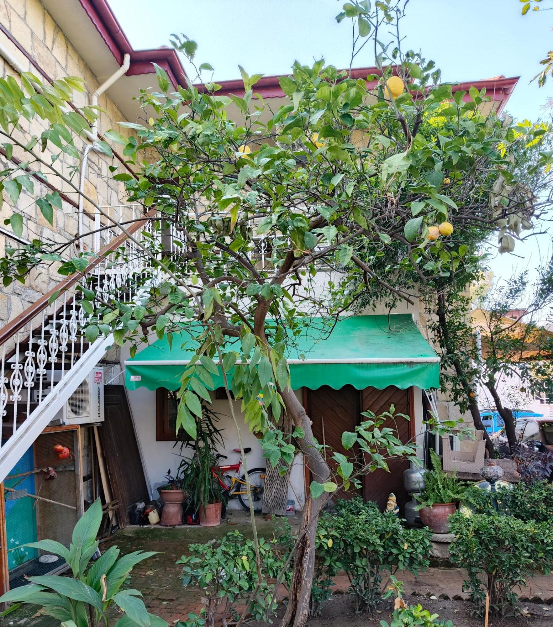 Beach House Apartment Side Exterior foto
